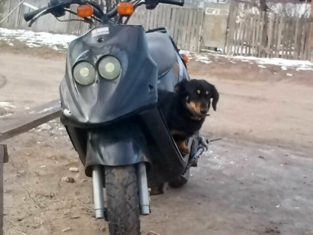 Ямаха Другая, объемом двигателя 0 л и пробегом 0 тыс. км за 299 $, фото 1 на Automoto.ua