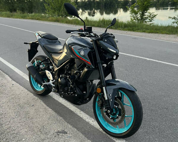 Серый Ямаха MT-03, объемом двигателя 0.32 л и пробегом 9 тыс. км за 5400 $, фото 1 на Automoto.ua
