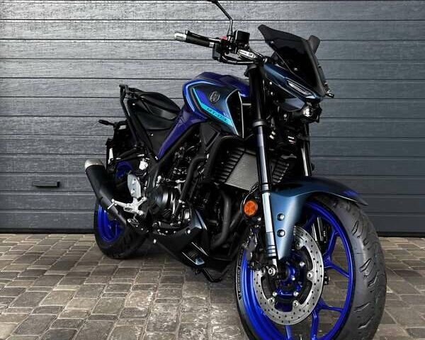 Синий Ямаха MT-03, объемом двигателя 0.32 л и пробегом 15 тыс. км за 5500 $, фото 1 на Automoto.ua