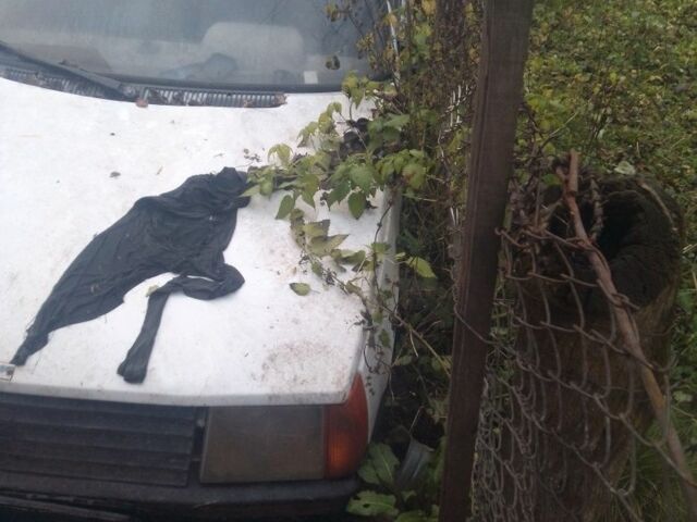 Белый ЗАЗ 1102 Таврия, объемом двигателя 1.25 л и пробегом 215 тыс. км за 400 $, фото 1 на Automoto.ua