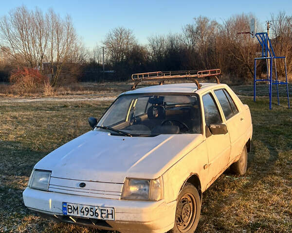 Білий ЗАЗ 1103 Славута, об'ємом двигуна 1.2 л та пробігом 114 тис. км за 511 $, фото 1 на Automoto.ua