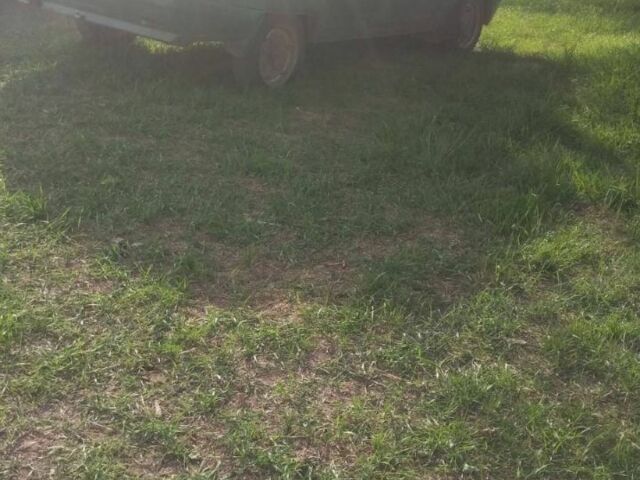 Зелений ЗАЗ 1103 Славута, об'ємом двигуна 1.3 л та пробігом 450 тис. км за 785 $, фото 1 на Automoto.ua