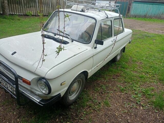 Белый ЗАЗ 965, объемом двигателя 0 л и пробегом 36 тыс. км за 400 $, фото 1 на Automoto.ua