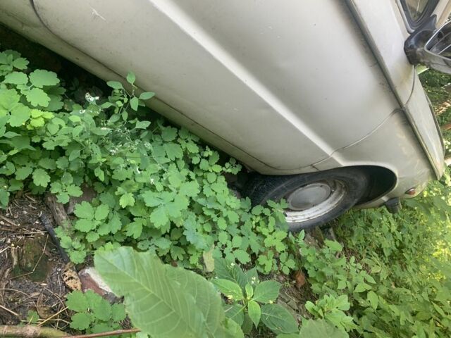 Бежевый ЗАЗ 968, объемом двигателя 1.2 л и пробегом 58 тыс. км за 226 $, фото 1 на Automoto.ua