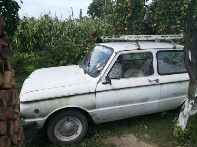 Белый ЗАЗ Другая, объемом двигателя 2.45 л и пробегом 110 тыс. км за 238 $, фото 1 на Automoto.ua