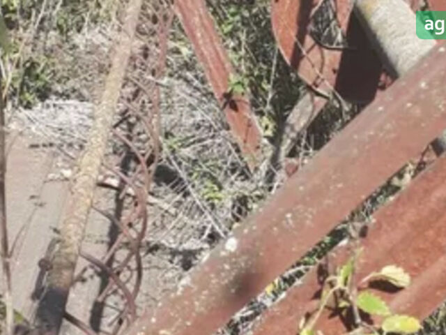 ЖВП 6, объемом двигателя 0 л и пробегом 0 тыс. км за 298 $, фото 1 на Automoto.ua