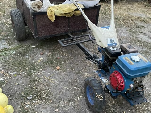 Синий Зубр 170F, объемом двигателя 0.52 л и пробегом 2 тыс. км за 430 $, фото 1 на Automoto.ua