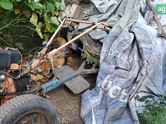 Зубр КсA, объемом двигателя 0 л и пробегом 0 тыс. км за 364 $, фото 1 на Automoto.ua
