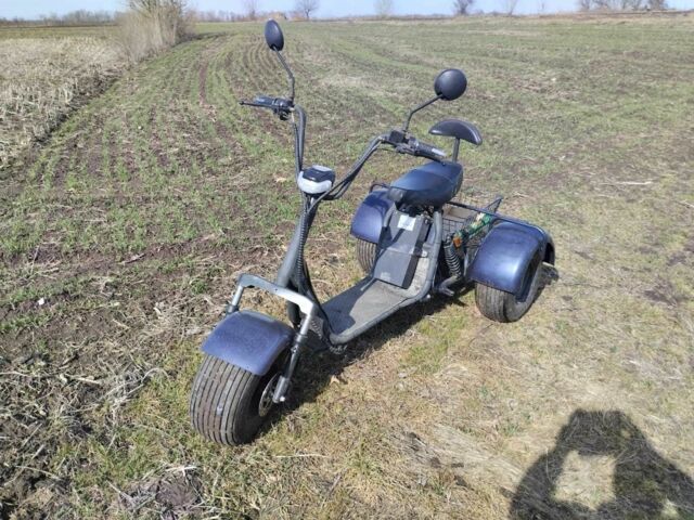 Citycoco Другая, объемом двигателя 0 л и пробегом 0 тыс. км за 39999 $, фото 1 на Automoto.ua