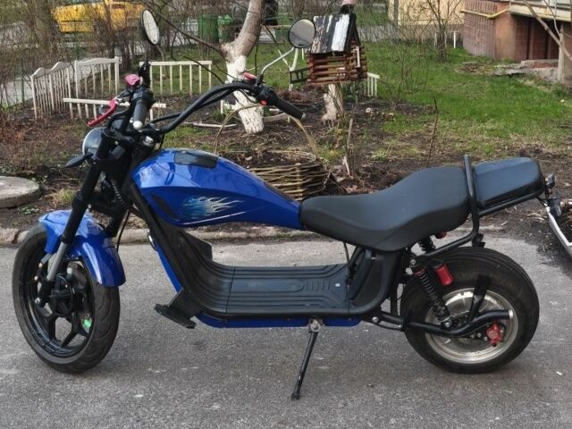 Citycoco Другая, объемом двигателя 0 л и пробегом 0 тыс. км за 1667 $, фото 1 на Automoto.ua