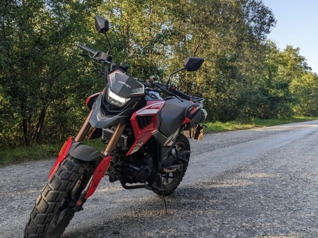 Hornet 95 XF 380, объемом двигателя 0.25 л и пробегом 0 тыс. км за 945 $, фото 1 на Automoto.ua