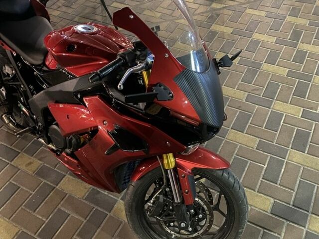 Rider Другая, объемом двигателя 0.25 л и пробегом 0 тыс. км за 1950 $, фото 1 на Automoto.ua