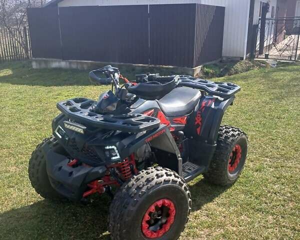 Черный Shark 300 Titan, объемом двигателя 0 л и пробегом 166 тыс. км за 35600 $, фото 1 на Automoto.ua