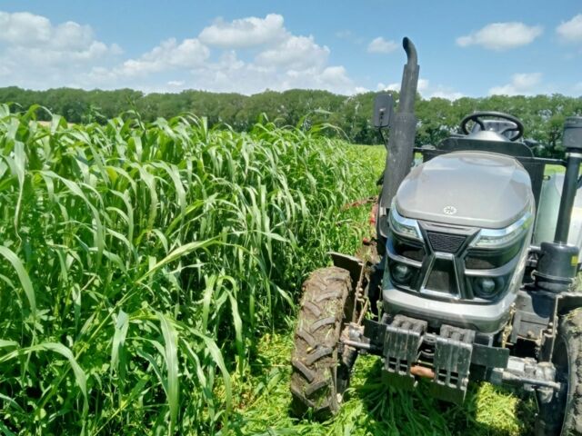 Скаут Другая, объемом двигателя 0 л и пробегом 300 тыс. км за 8000 $, фото 1 на Automoto.ua