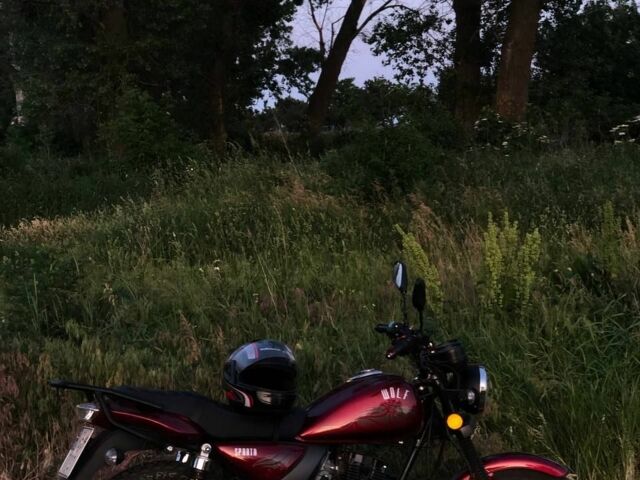 Sparta Другая 2019 в Чигирине на Automoto.ua Sparta Другая, объемом двигателя 0.15 л и пробегом 0 тыс. км за 606 $, фото 1 на Automoto.ua