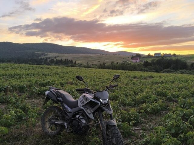 Tekken 250, объемом двигателя 0.25 л и пробегом 0 тыс. км за 1300 $, фото 1 на Automoto.ua