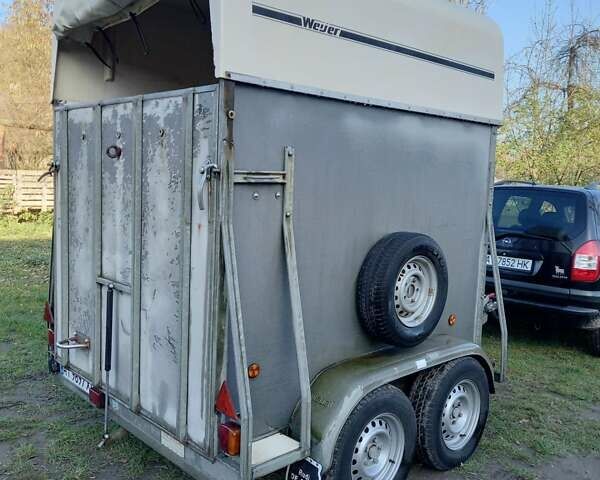 Серый Weijer W, объемом двигателя 0 л и пробегом 100 тыс. км за 2500 $, фото 1 на Automoto.ua