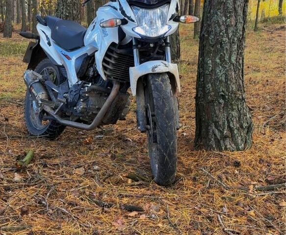 Zuumav Інша, об'ємом двигуна 0.2 л та пробігом 0 тис. км за 1550 $, фото 1 на Automoto.ua