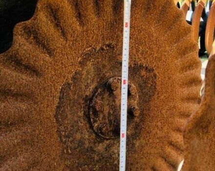 Желтый Беднар Другая, объемом двигателя 0 л и пробегом 0 тыс. км за 41287 $, фото 42 на Automoto.ua