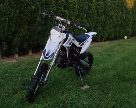 Белый BSE PH10L 125 Enduro, объемом двигателя 0.12 л и пробегом 2 тыс. км за 600 $, фото 8 на Automoto.ua