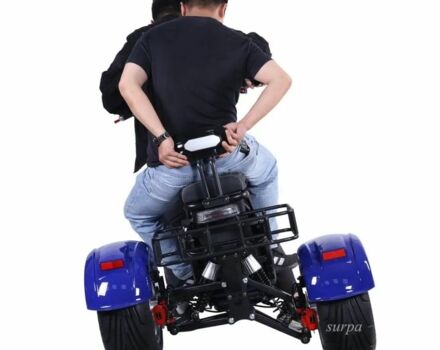 Citycoco 3302, объемом двигателя 2.3 л и пробегом 0 тыс. км за 1400 $, фото 10 на Automoto.ua