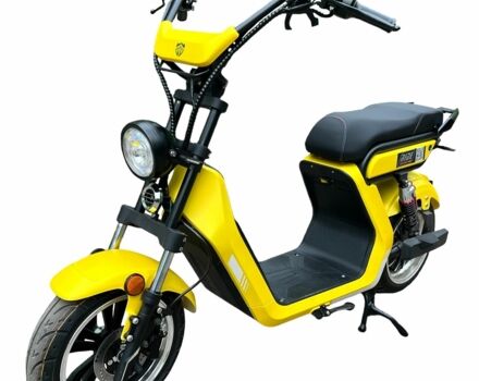 Citycoco 4310, объемом двигателя 10.85 л и пробегом 0 тыс. км за 65000 $, фото 8 на Automoto.ua