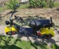 Citycoco 4310, об'ємом двигуна 10.85 л та пробігом 0 тис. км за 1087 $, фото 3 на Automoto.ua