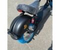 Citycoco 4310, объемом двигателя 10.85 л и пробегом 0 тыс. км за 62600 $, фото 9 на Automoto.ua