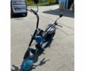 Citycoco 4310, объемом двигателя 10.85 л и пробегом 0 тыс. км за 62600 $, фото 1 на Automoto.ua