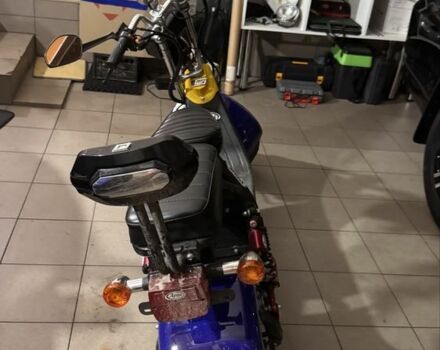 Citycoco 6510, об'ємом двигуна 14.86 л та пробігом 0 тис. км за 58000 $, фото 3 на Automoto.ua