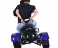Citycoco 6510, объемом двигателя 14.86 л и пробегом 0 тыс. км за 1600 $, фото 10 на Automoto.ua