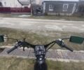 Citycoco 95 XF 380, объемом двигателя 12.58 л и пробегом 0 тыс. км за 2600 $, фото 8 на Automoto.ua