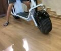 Citycoco Другая, объемом двигателя 0 л и пробегом 0 тыс. км за 1000 $, фото 1 на Automoto.ua