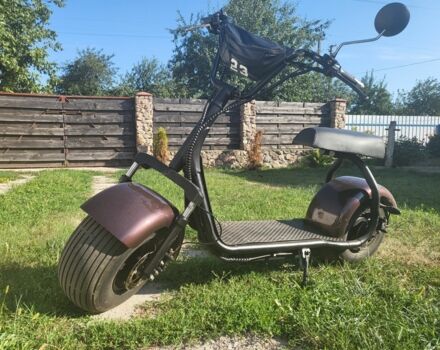 Citycoco Другая, объемом двигателя 0 л и пробегом 0 тыс. км за 29999 $, фото 2 на Automoto.ua