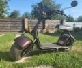 Citycoco Другая, объемом двигателя 0 л и пробегом 0 тыс. км за 29999 $, фото 2 на Automoto.ua