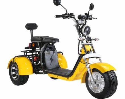 Citycoco Другая, объемом двигателя 0 л и пробегом 0 тыс. км за 1813 $, фото 2 на Automoto.ua