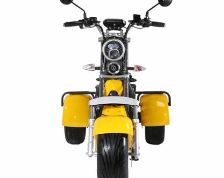 Citycoco Другая, объемом двигателя 0 л и пробегом 0 тыс. км за 1813 $, фото 3 на Automoto.ua