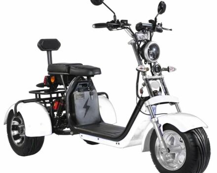 Citycoco Другая, объемом двигателя 0 л и пробегом 0 тыс. км за 1813 $, фото 1 на Automoto.ua