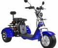 Citycoco Другая, объемом двигателя 0 л и пробегом 0 тыс. км за 76600 $, фото 1 на Automoto.ua
