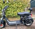 Citycoco Другая, объемом двигателя 0 л и пробегом 0 тыс. км за 80000 $, фото 1 на Automoto.ua
