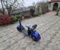Citycoco Інша 2022 у Дубно на Automoto.ua Citycoco Інша, об'ємом двигуна 0 л та пробігом 0 тис. км за 1353 $, фото 2 на Automoto.ua
