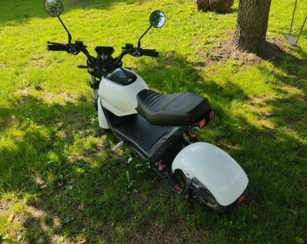 Citycoco Другая, объемом двигателя 0 л и пробегом 0 тыс. км за 842 $, фото 9 на Automoto.ua