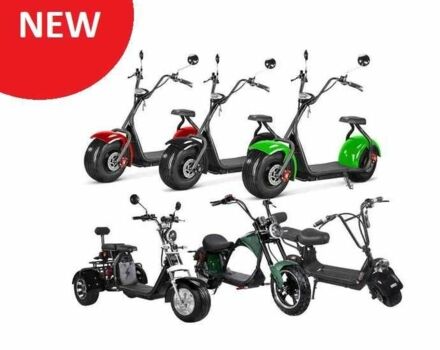 Citycoco Другая, объемом двигателя 0 л и пробегом 0 тыс. км за 1339 $, фото 5 на Automoto.ua