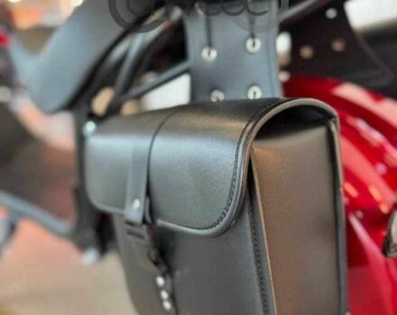 Citycoco Другая, объемом двигателя 0 л и пробегом 0 тыс. км за 943 $, фото 4 на Automoto.ua