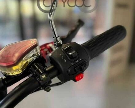 Citycoco Другая, объемом двигателя 0 л и пробегом 0 тыс. км за 943 $, фото 6 на Automoto.ua