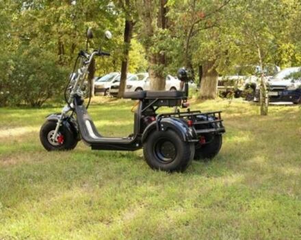 Citycoco Другая 2025 в Виннице на Automoto.ua Citycoco Другая, объемом двигателя 0 л и пробегом 0 тыс. км за 1143 $, фото 2 на Automoto.ua