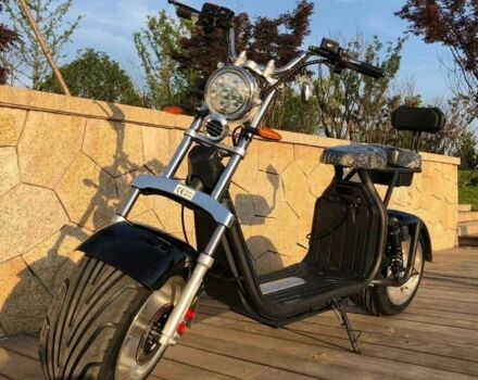 Citycoco Другая, объемом двигателя 0 л и пробегом 0 тыс. км за 1229 $, фото 3 на Automoto.ua