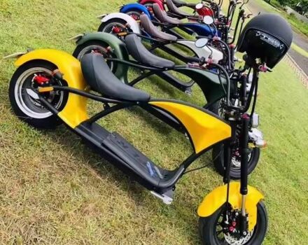 Citycoco Другая, объемом двигателя 0 л и пробегом 0 тыс. км за 787 $, фото 3 на Automoto.ua