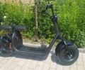 Citycoco Другая, объемом двигателя 0 л и пробегом 0 тыс. км за 43999 $, фото 1 на Automoto.ua