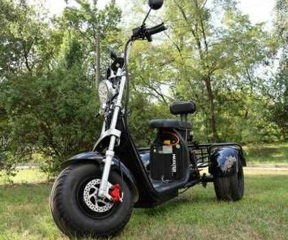 Citycoco Другая 2025 в Виннице на Automoto.ua Citycoco Другая, объемом двигателя 0 л и пробегом 0 тыс. км за 1143 $, фото 1 на Automoto.ua